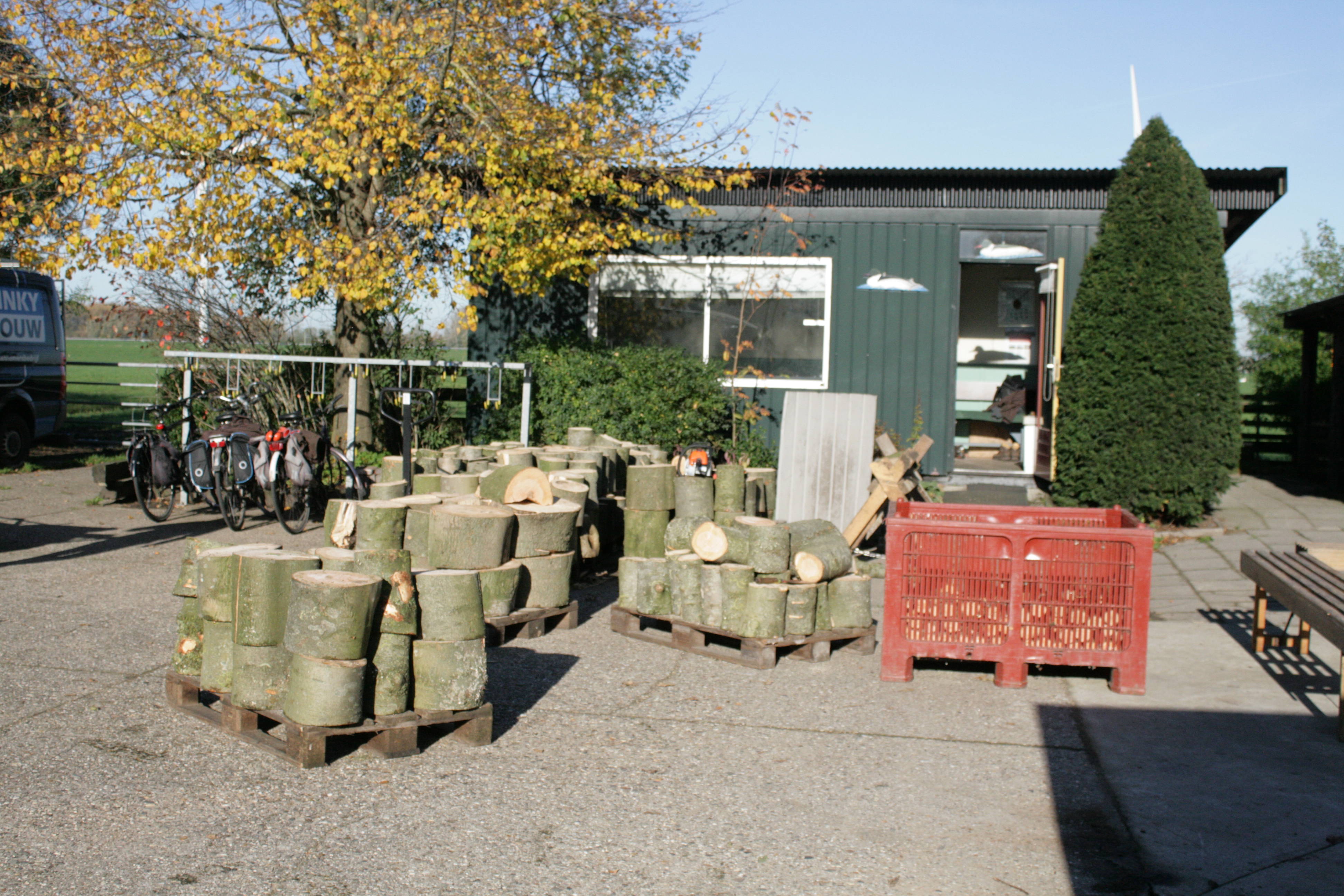 Knotploeg (Spookverlaat). Foto van Margot Klingers.